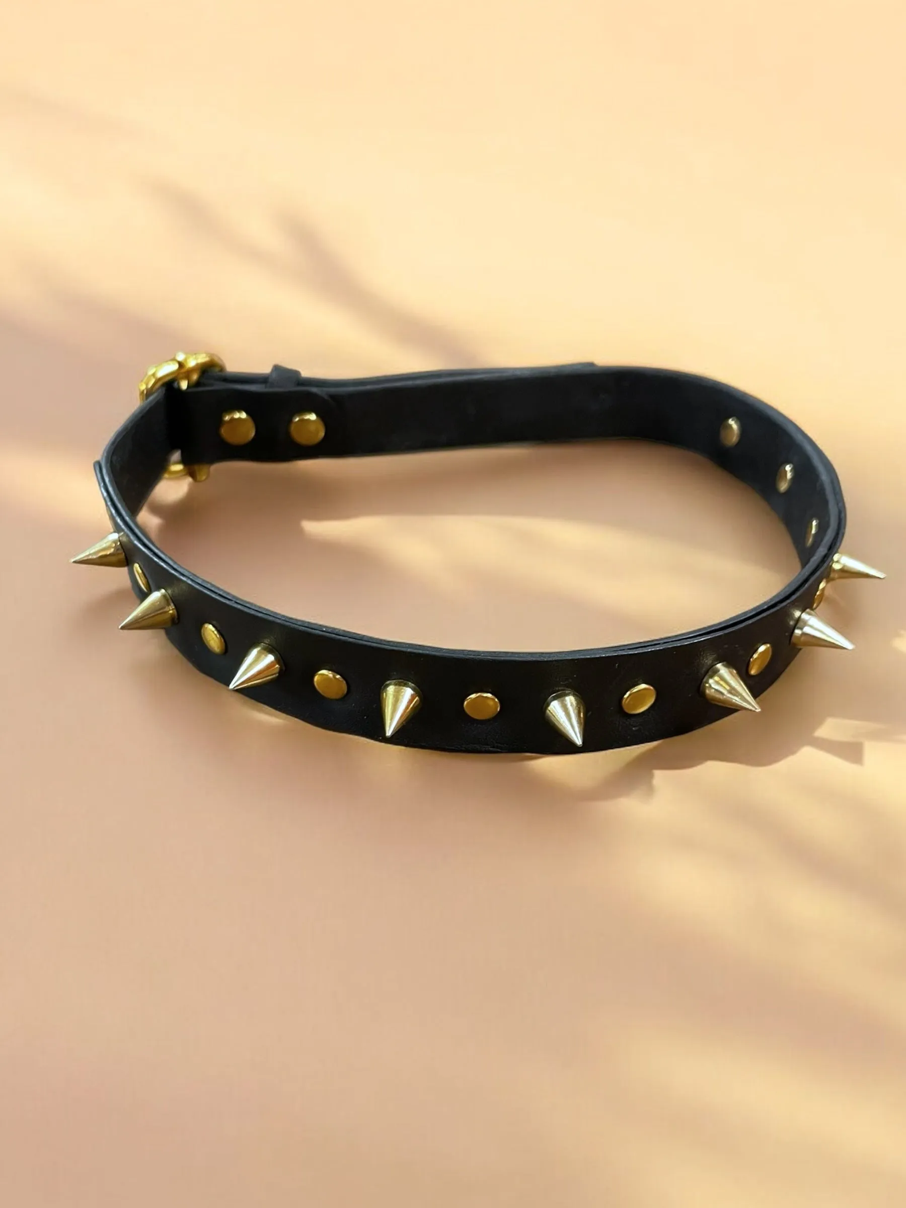 Lonicera Spiked Sliding Collar