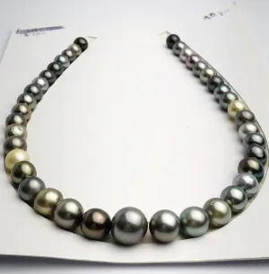 Loose Tahitian Pearls Set, Multicolor, Wholesale - Only 18 dollars per pearl - AA Quality (241)