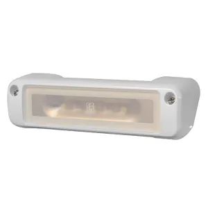 Lumitec Perimeter Flood Light White/Blue LED White Finish 12/24v