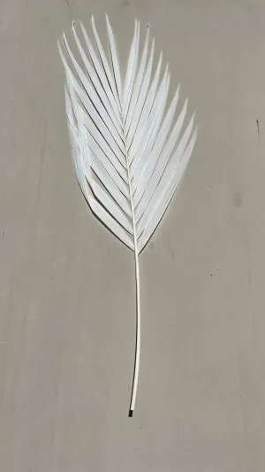 Luxe Pure White Palm Leaf