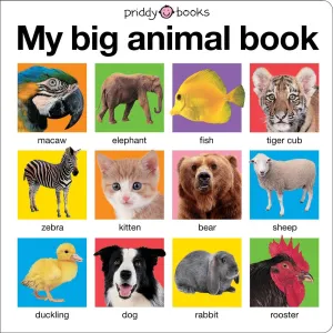 Macmillan My Big Animal Book