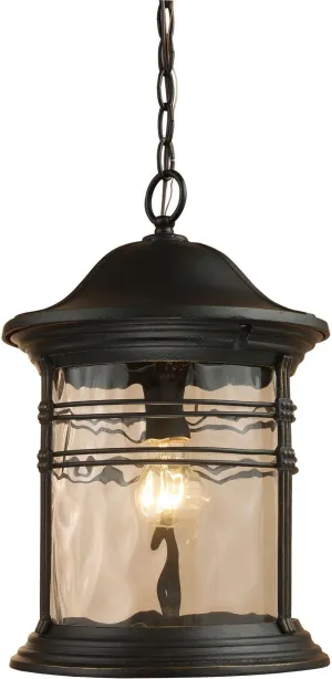 Madison 1 Light Outdoor Pendant In Matte Black