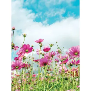 Magenta Flowers Printed Backdrop