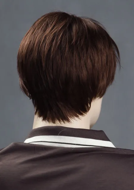 Male Wig #ZL6-33