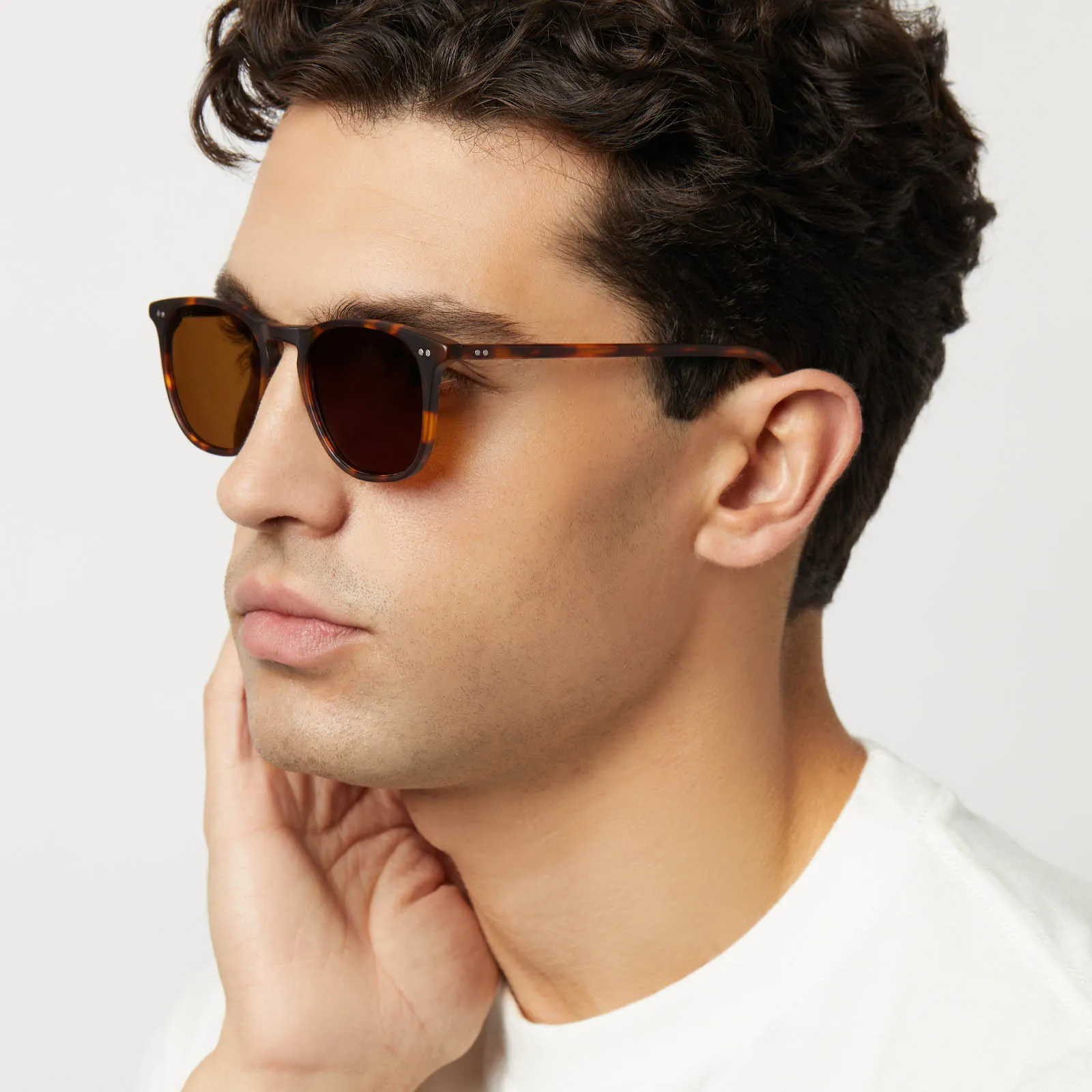 MAXWELL - MATTE RICH TORTOISE   BROWN   POLARIZED SUNGLASSES