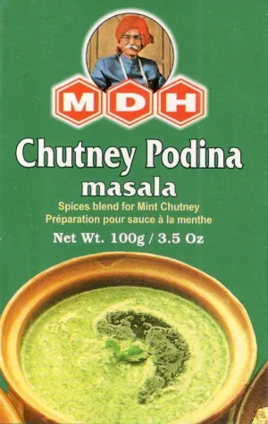 MDH Chutney Podina Masala 100G