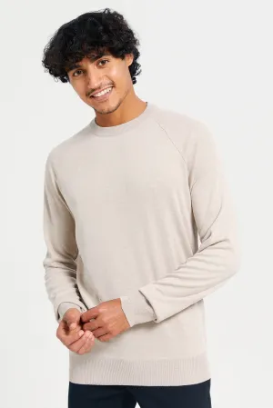 Men Beige Crew Neck Pullover