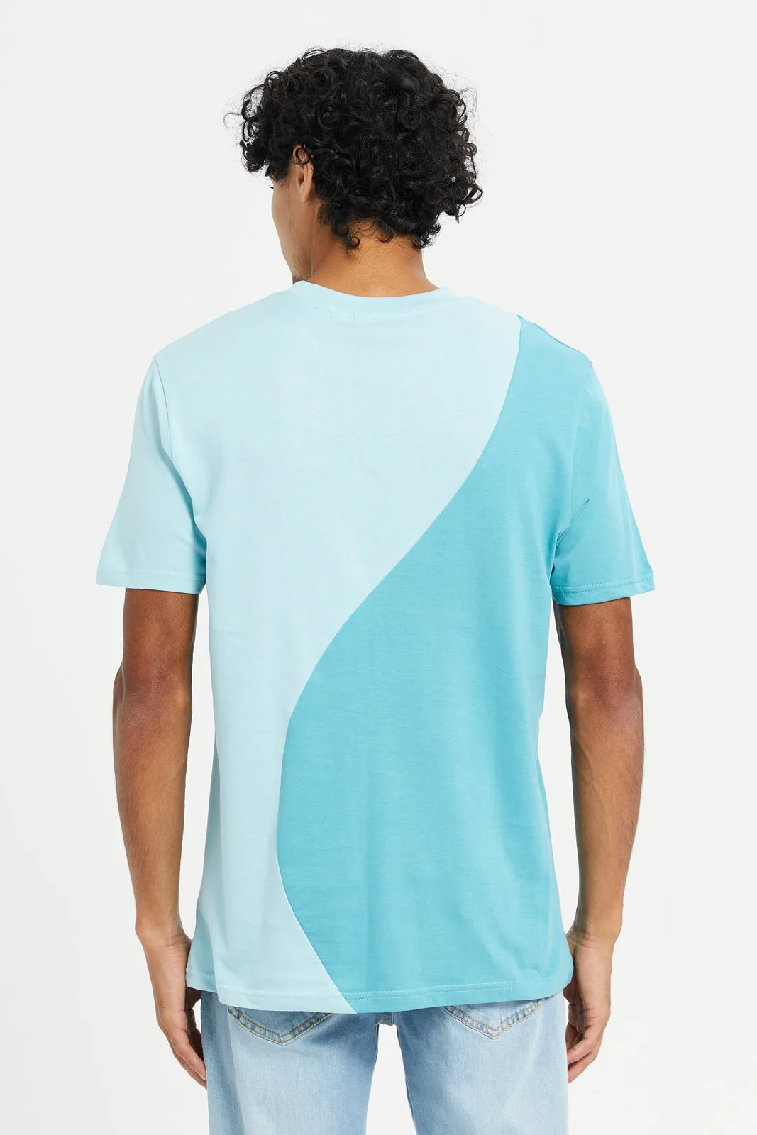 Men Printed Blue Colour Block T-Shirt