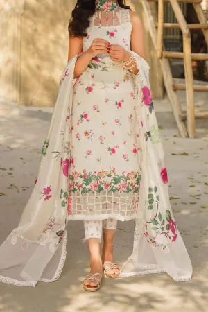 Meraki by Asifa N Nabeel Unstitched 3 Piece Lawn Collection'2024-Aster