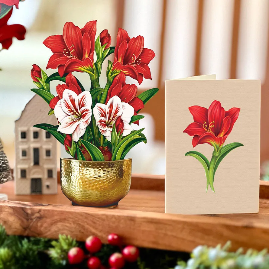 Mini Scarlet Amaryllis (Pop-up Greeting Card)