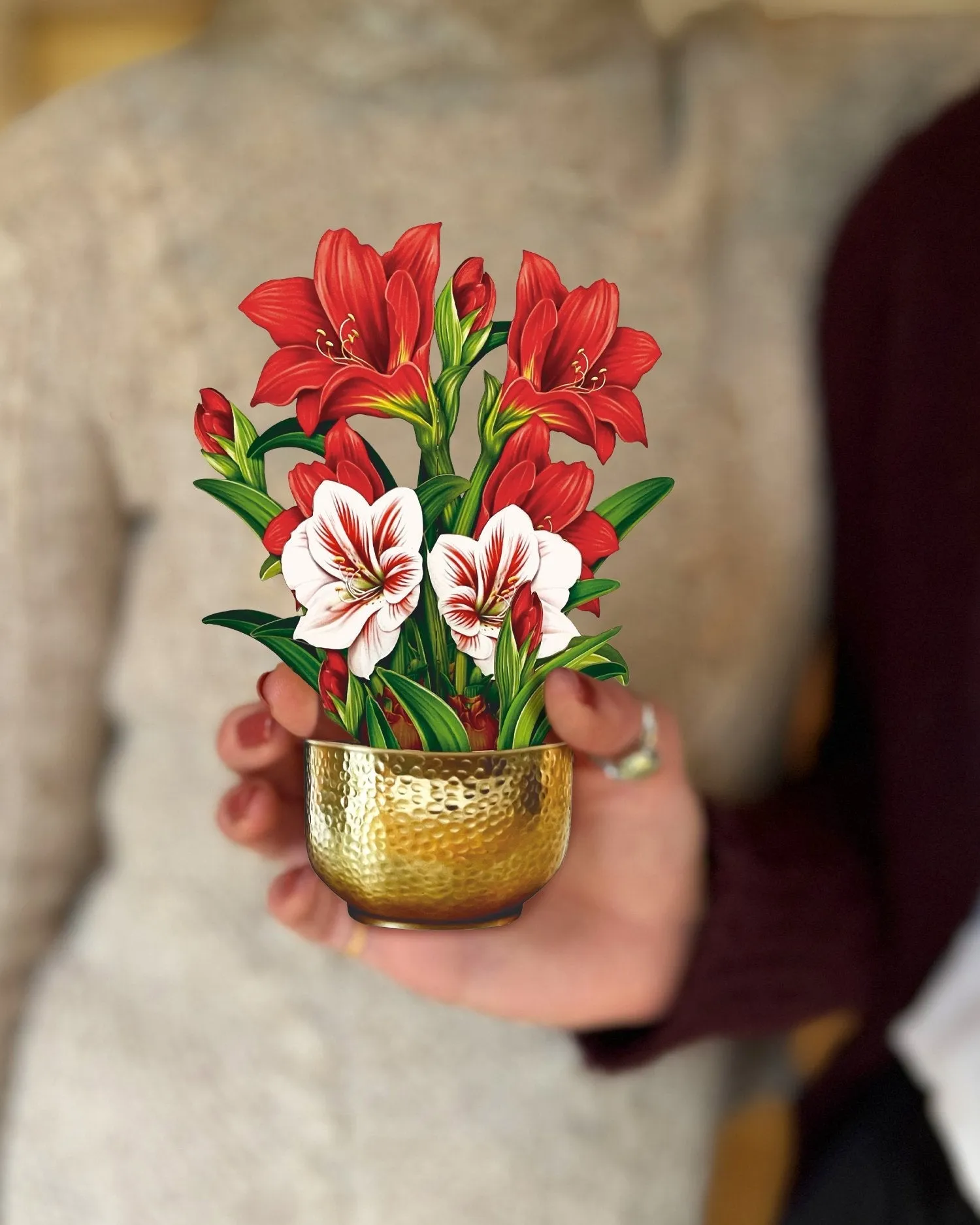 Mini Scarlet Amaryllis (Pop-up Greeting Card)