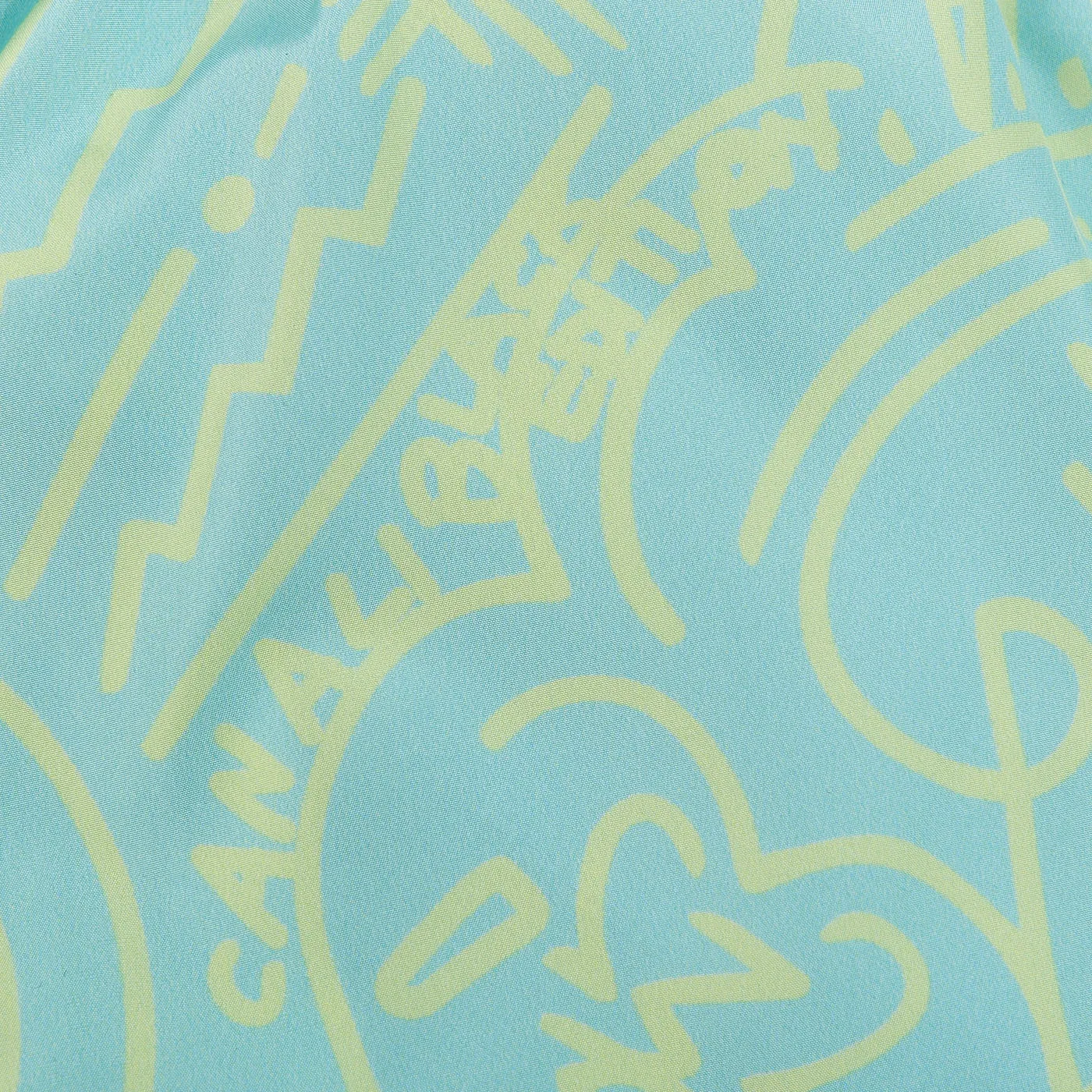 Mint Green Printed Microfiber Swimshorts