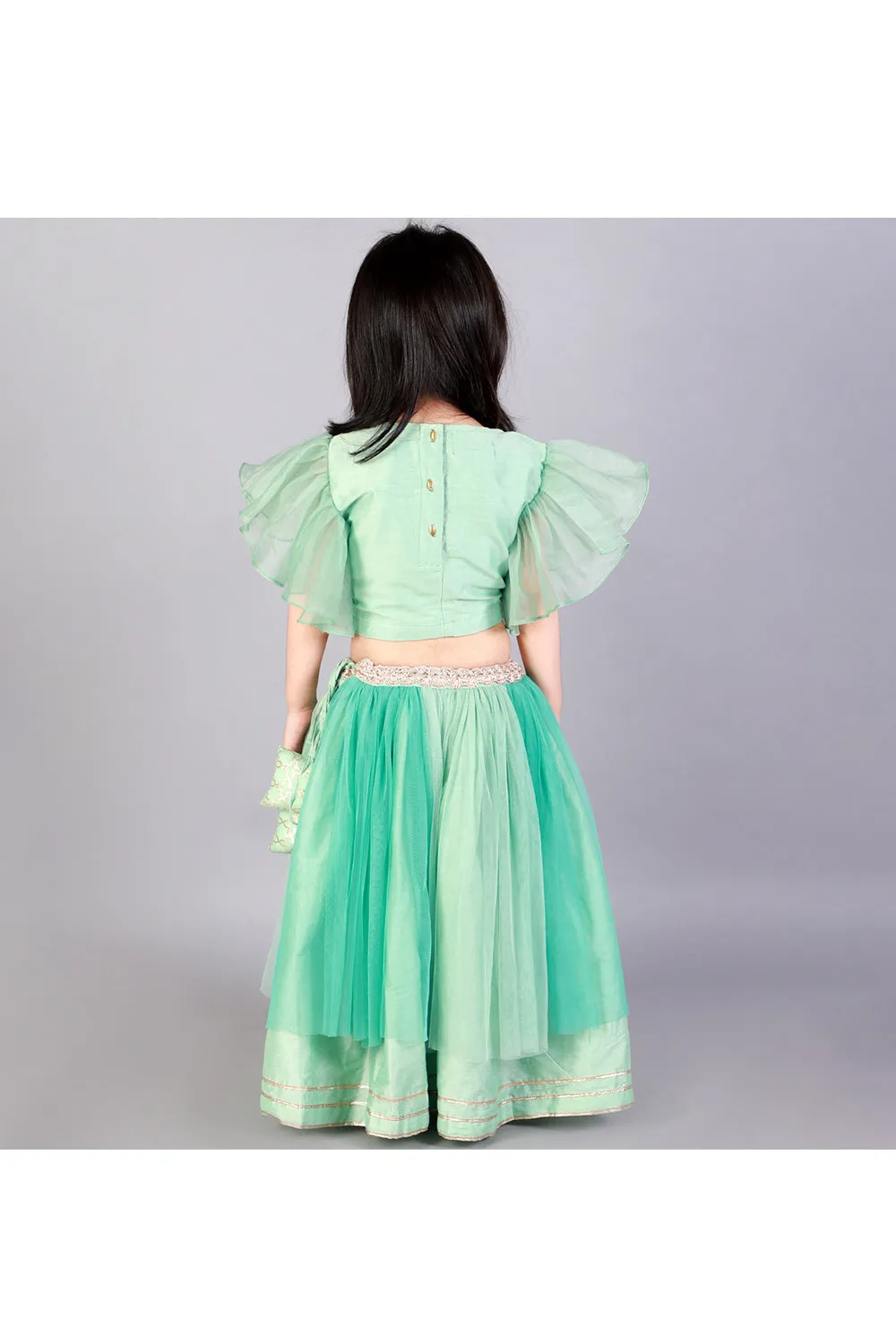 Mint Green Zari Embroidered Organza Top With Lehenga Set