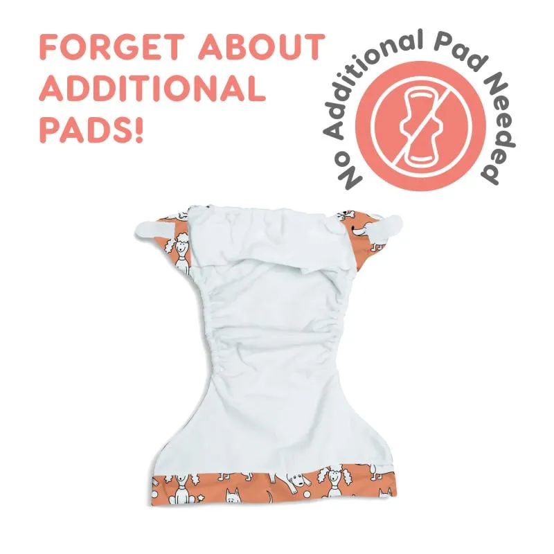 Misoko reusable diapers for female dogs, France