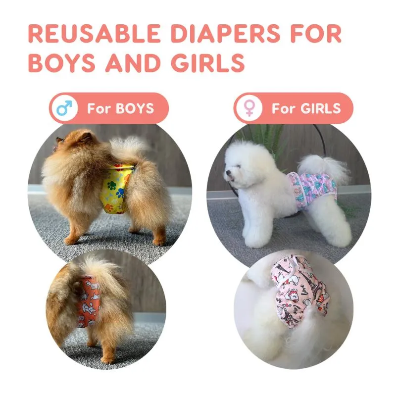 Misoko reusable diapers for female dogs, France