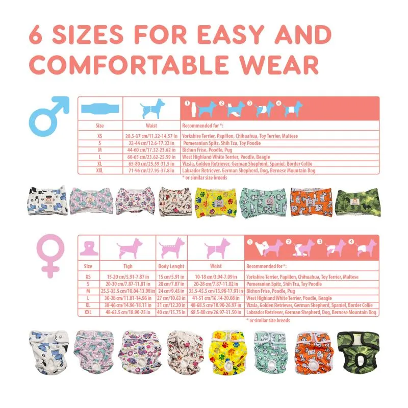 Misoko reusable diapers for female dogs, France