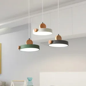 Modern Nordic LED Hanging Acrylic Lamp with Wood Accent in Grey/White/Green