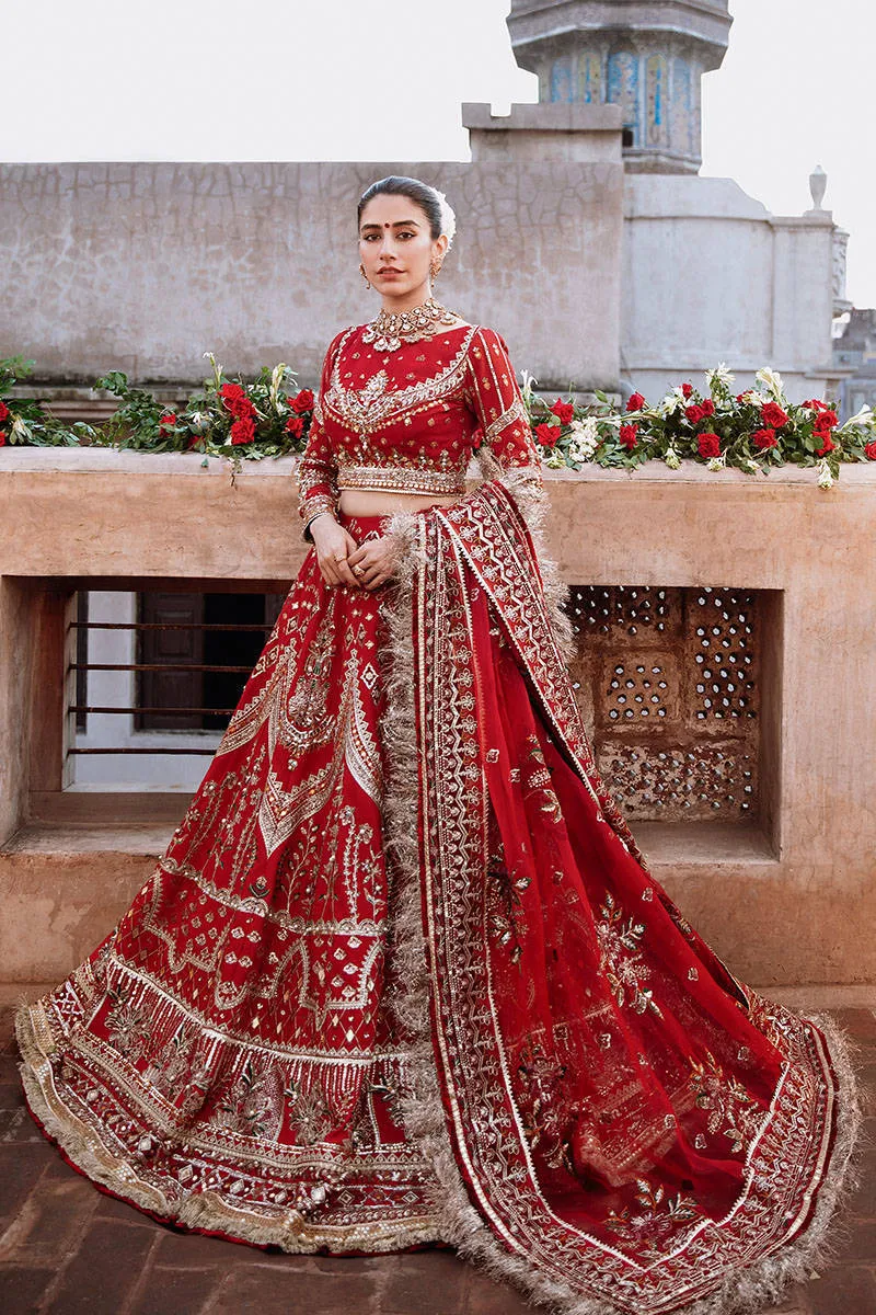 Mohsin Naveed Ranjha Zarlish Wedding Collection – Sheema Kirmani