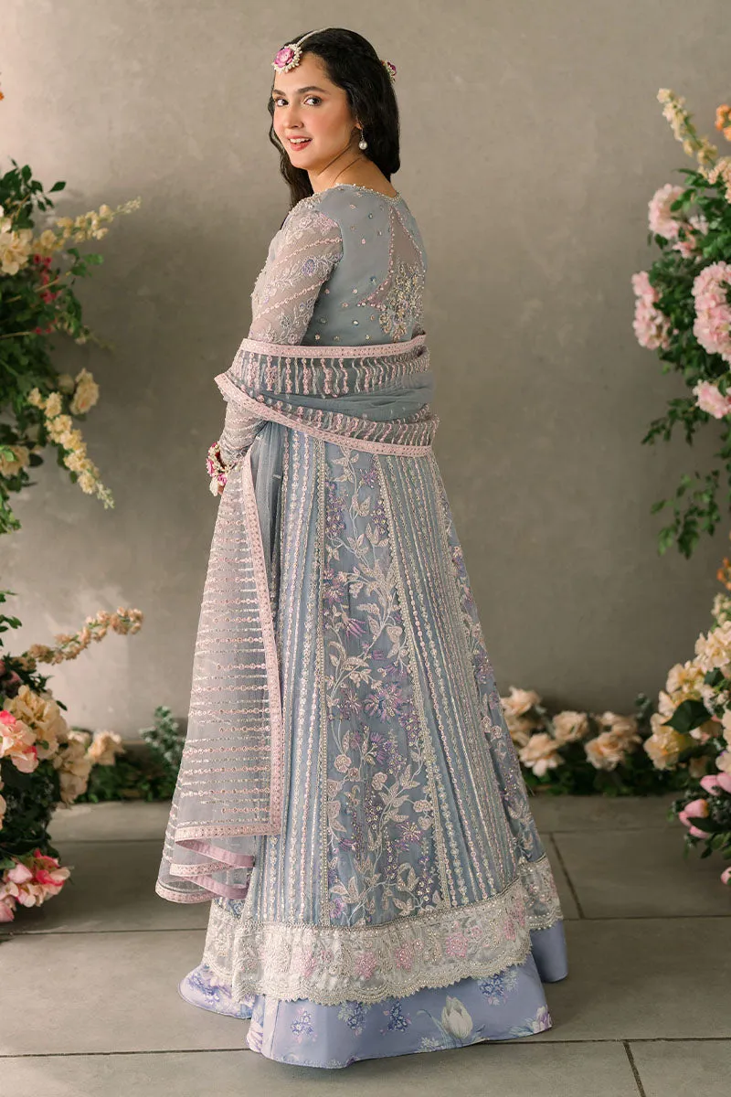 Mushq Mastani Evening Luxury Wedding Formals – Ezza