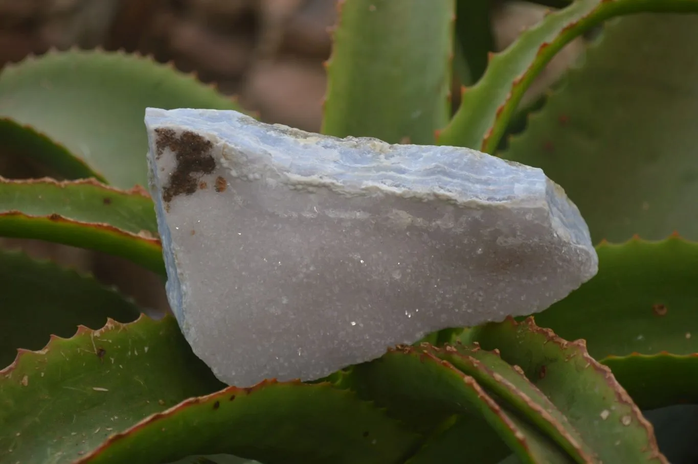 Natural Crystalline Blue Lace Agate Specimens x 2 From Namibia