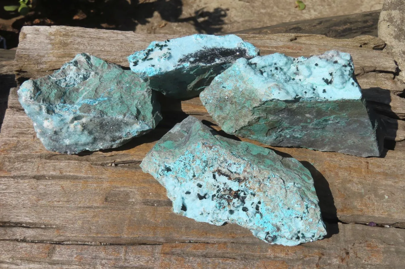 Natural Drusy Coated Chrysocolla Specimens x 4 From Congo