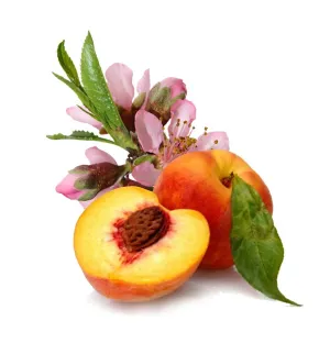 Natural Peach Blossom Fragrance Oil