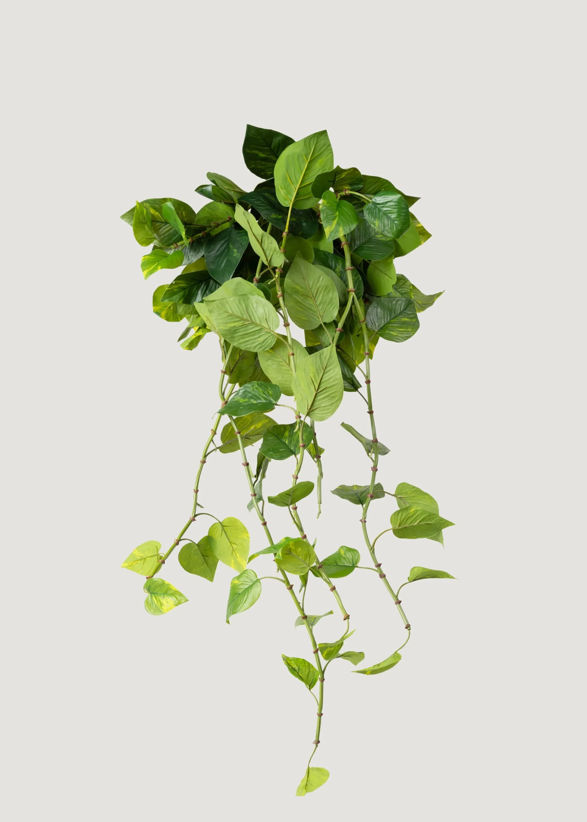 Natural Touch Pothos Artificial Plant - 48"