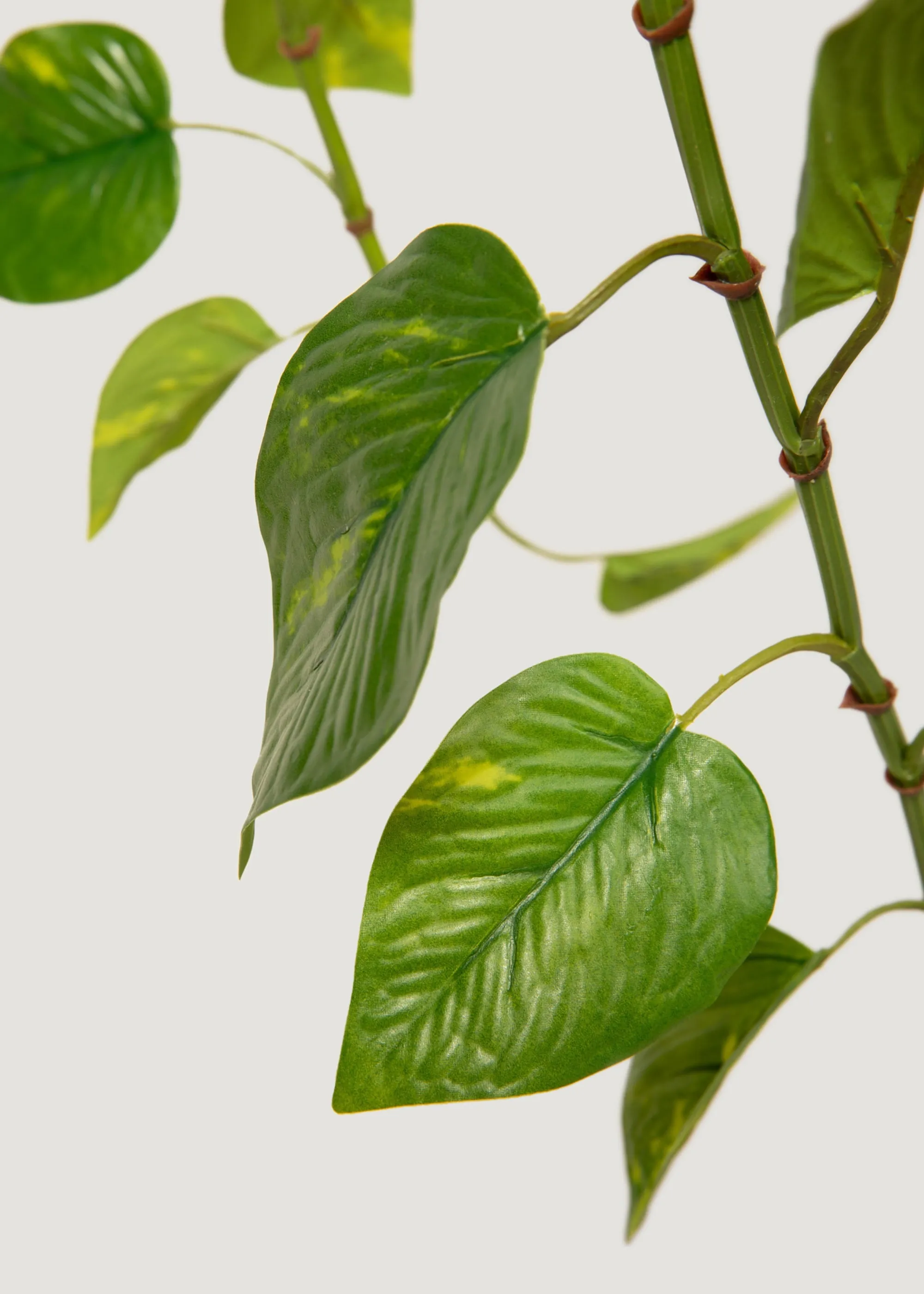 Natural Touch Pothos Artificial Plant - 48"