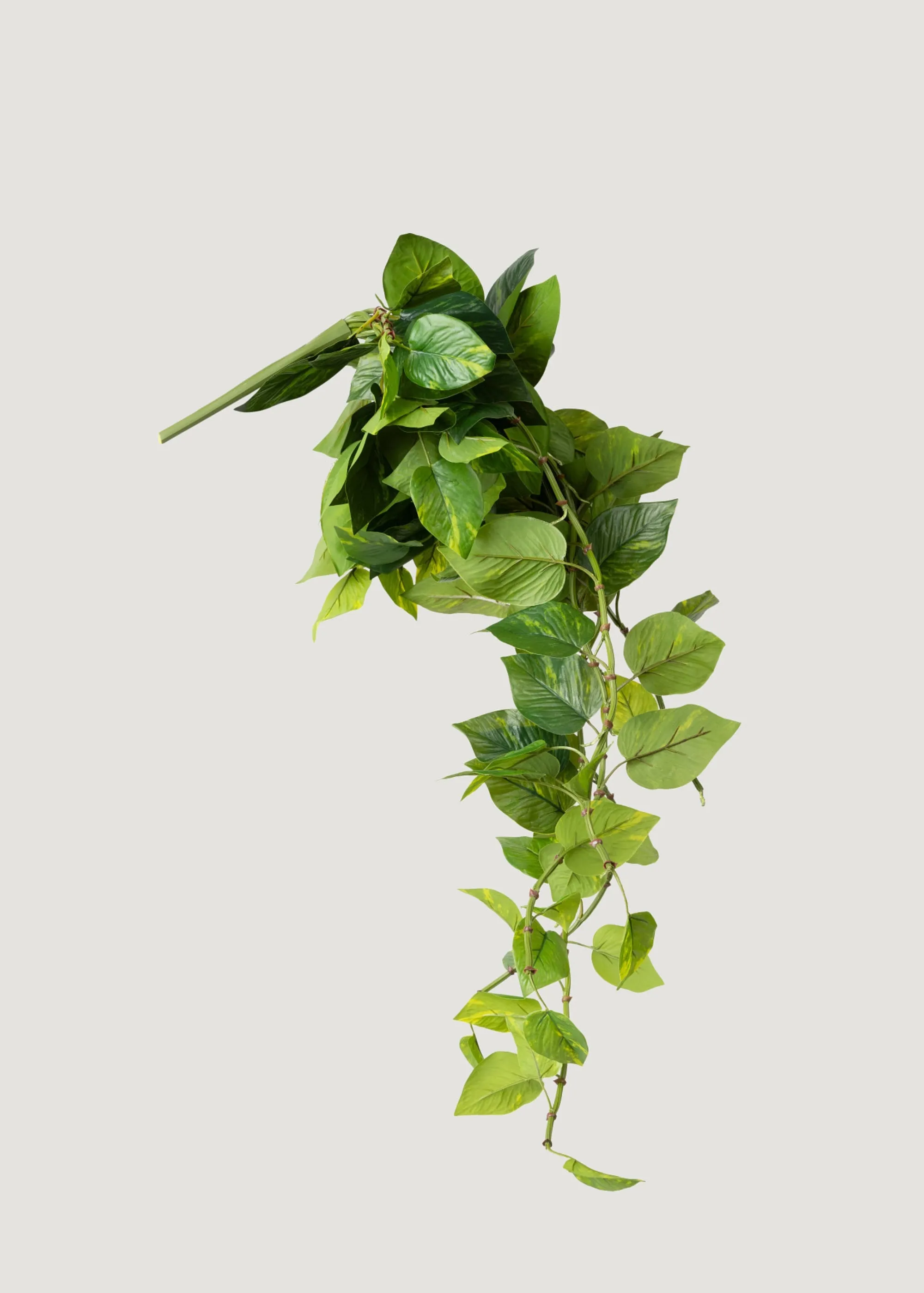 Natural Touch Pothos Artificial Plant - 48"