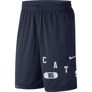 NCAA Arizona Wildcats Nike Dri-FIT Mesh Shorts