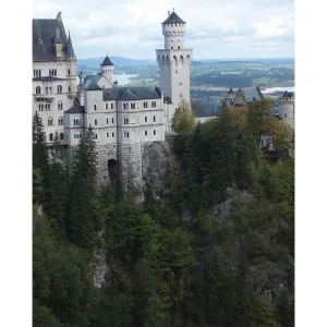 Neuschwanstein Castle Printed Backdrop