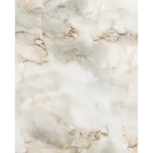 Neutral White Marble Printed Backdrop