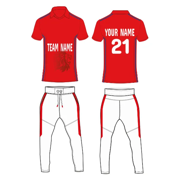 NEXT PRINT All Over Printed Customized Sublimation T-Shirt Unisex Sports Jersey Player Name & Number, Team Name.1822461008