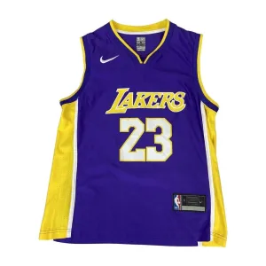 Nike Purple, Yellow and White Los Angeles Lakers NBA Lebron James #23 Medium