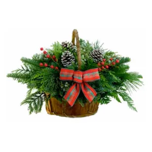 Noble Fir Bark Basket 10" x 15"