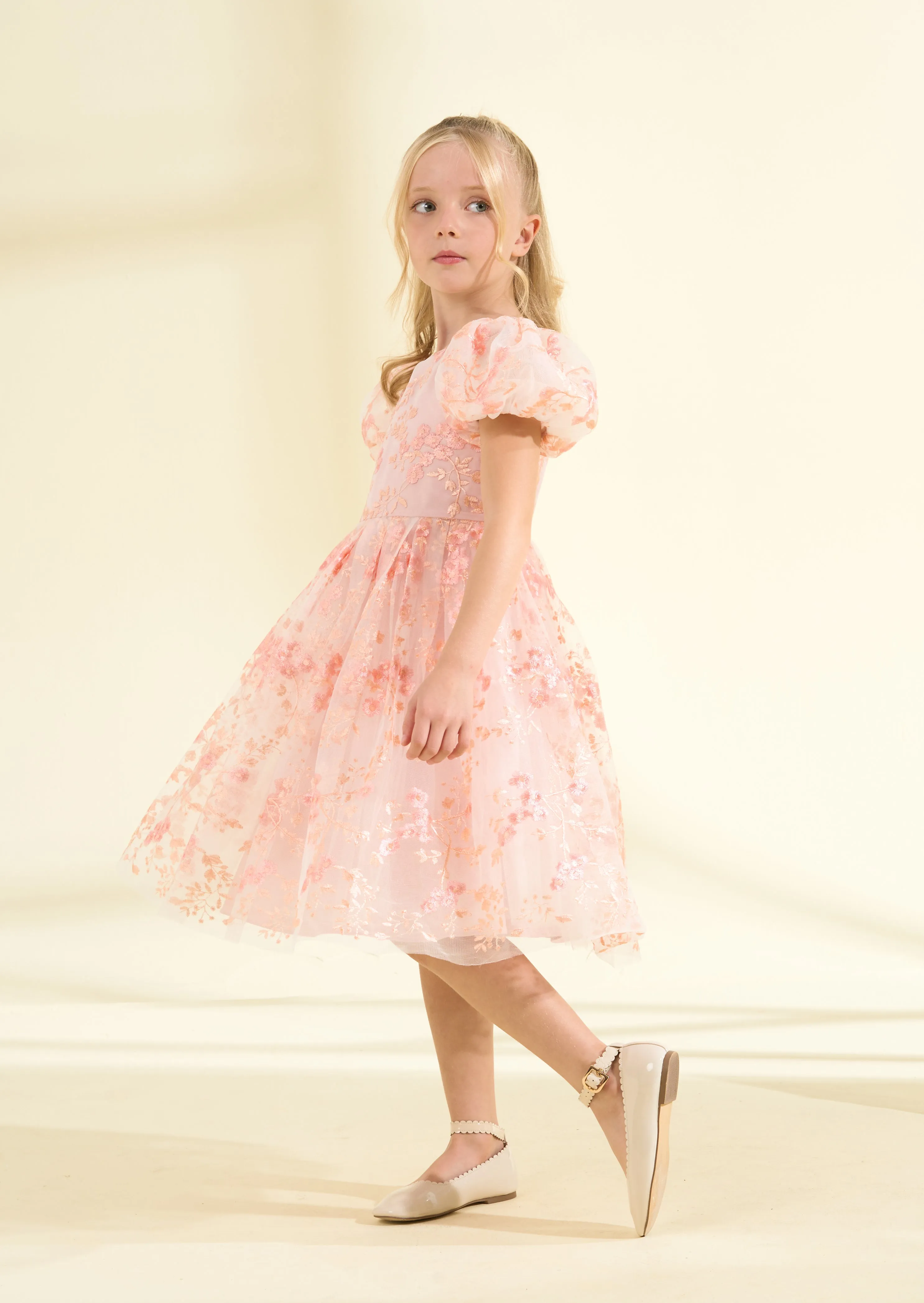 Noemie Pink Embroidered Dress