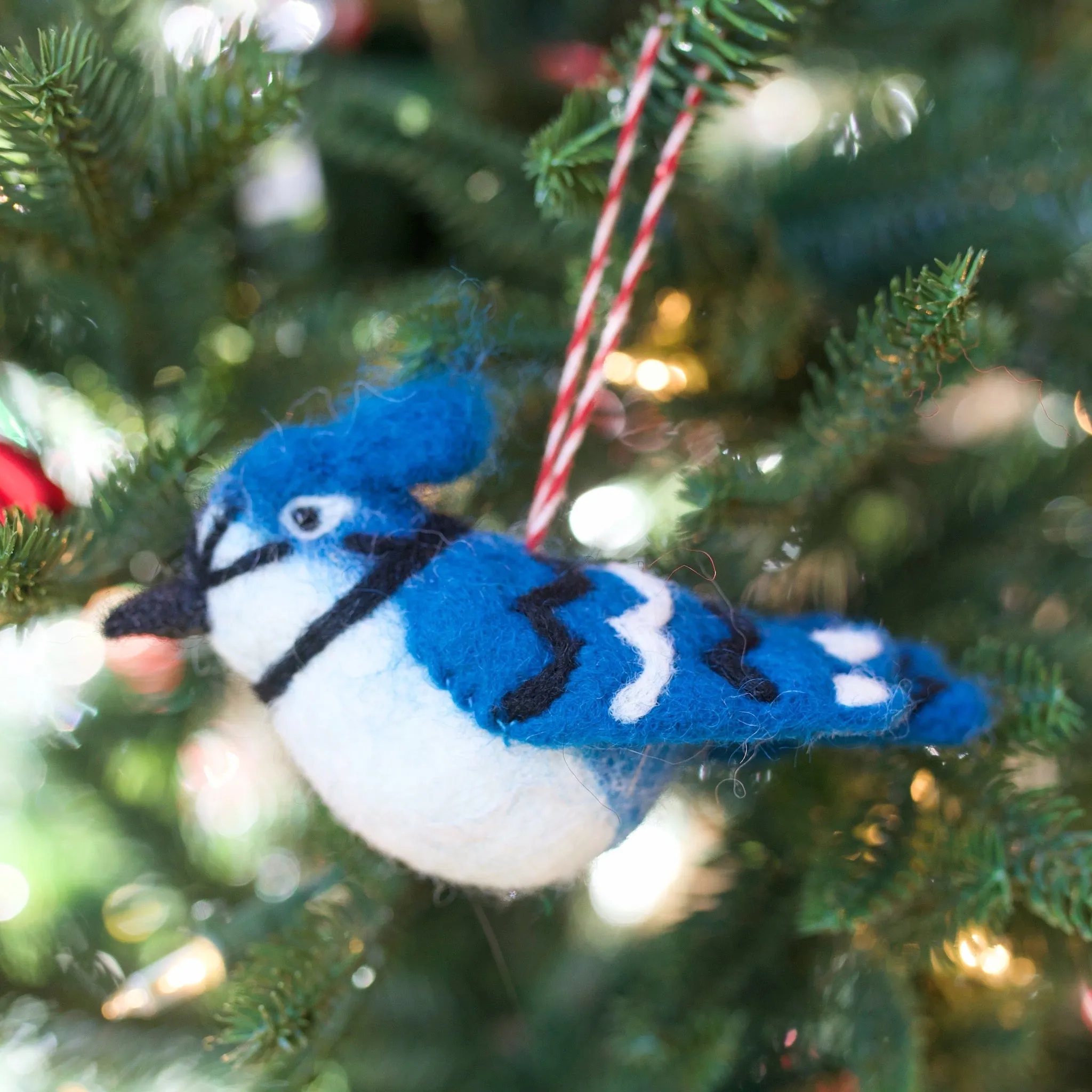 North American Birds, Felt Ornament Set