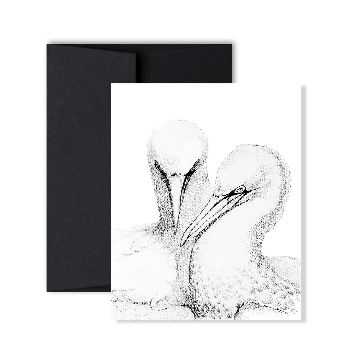 Northern Gannet Greeting Card