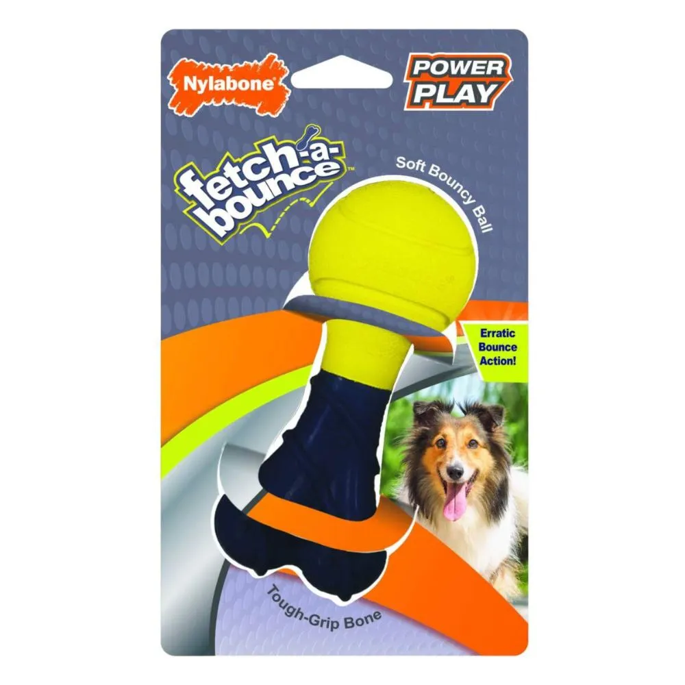 Nylabone Fetch-A-Bounce