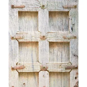 Old Wooden Door Printed Backdrop