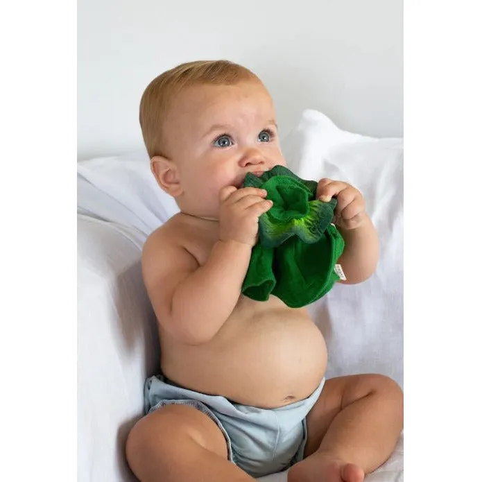 Oli & Carol Kale Mini Doudou Teether -