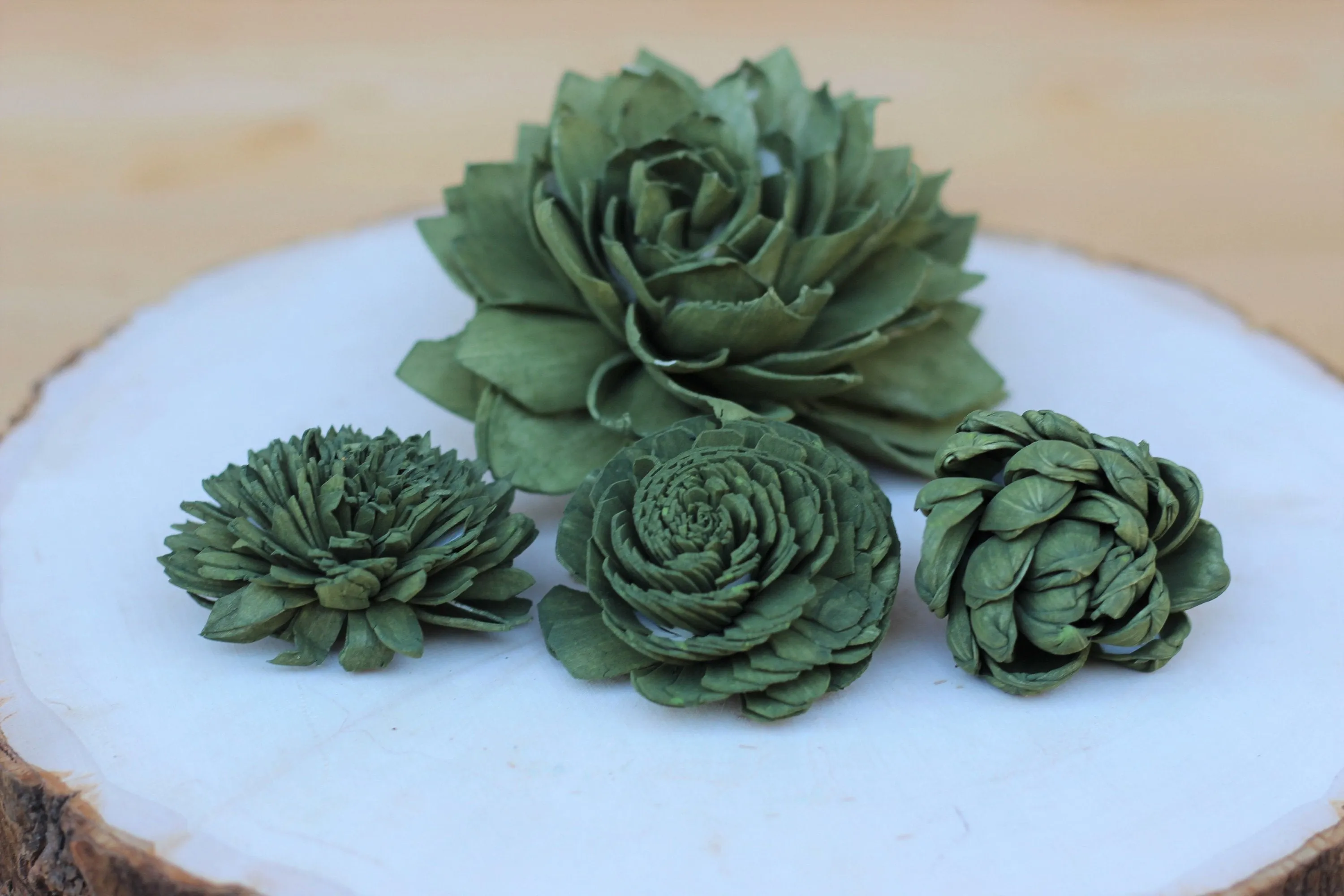 Olive Green Sola Wood Succulents