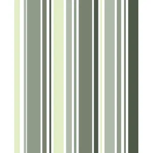 Olive Green Striped Printed Backdrop