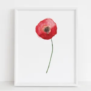 Open Poppy