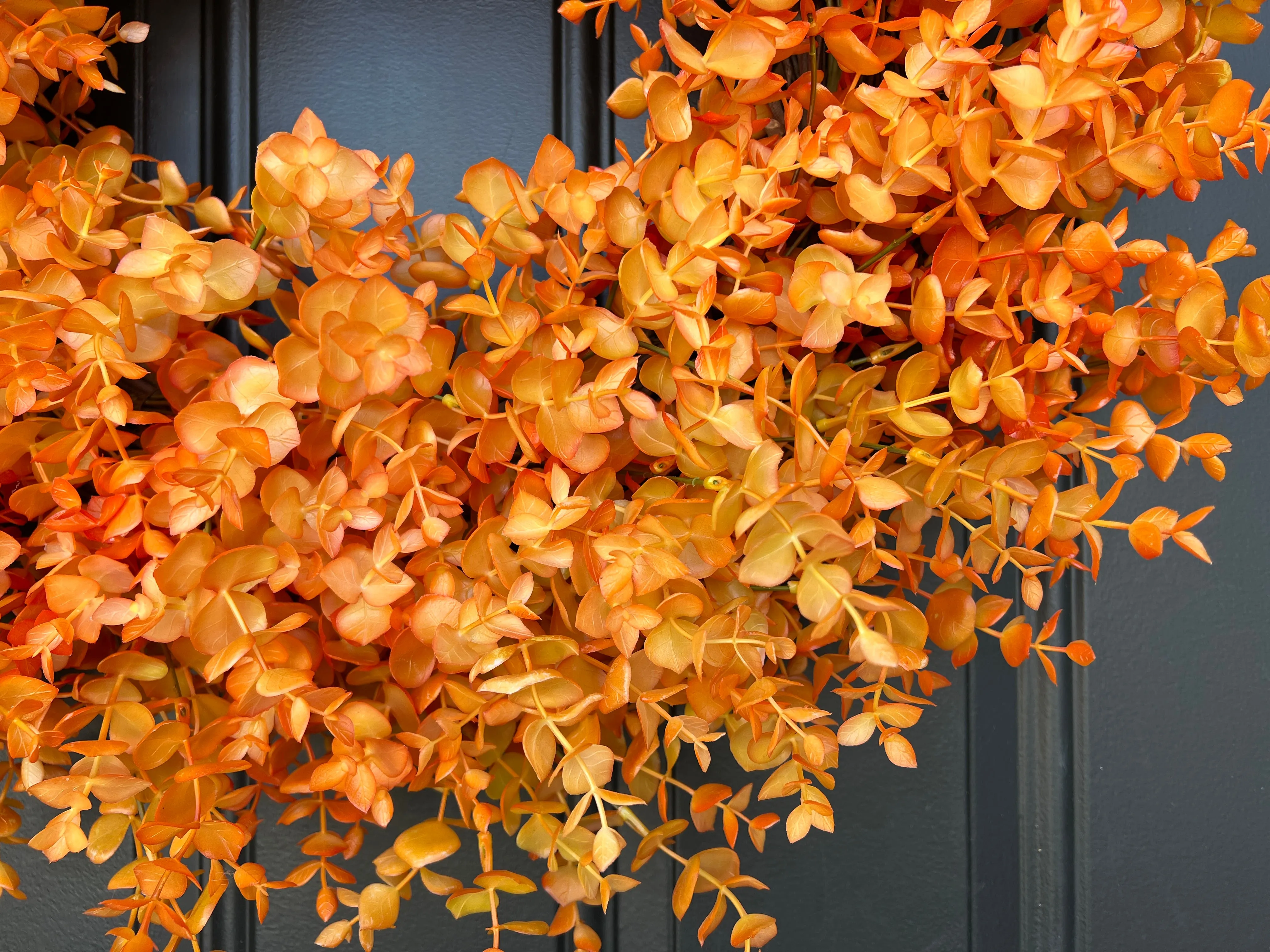 Orange Fall Eucalyptus Wreath