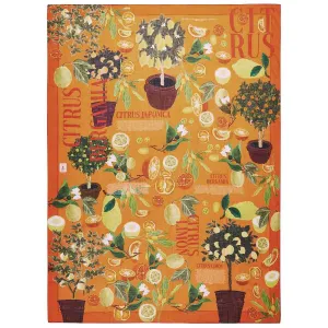 Orange shawl citrus fruits design