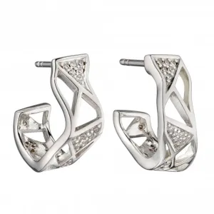 Organic Cage Cubic Zirconia Huggie Earrings E5891C