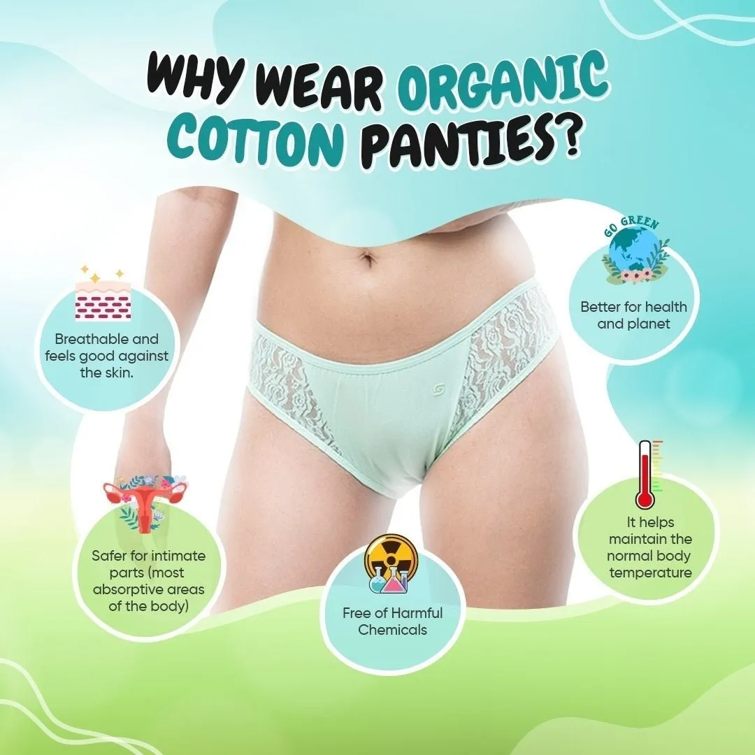 Organic Everyday Bikini Undies (6pc)