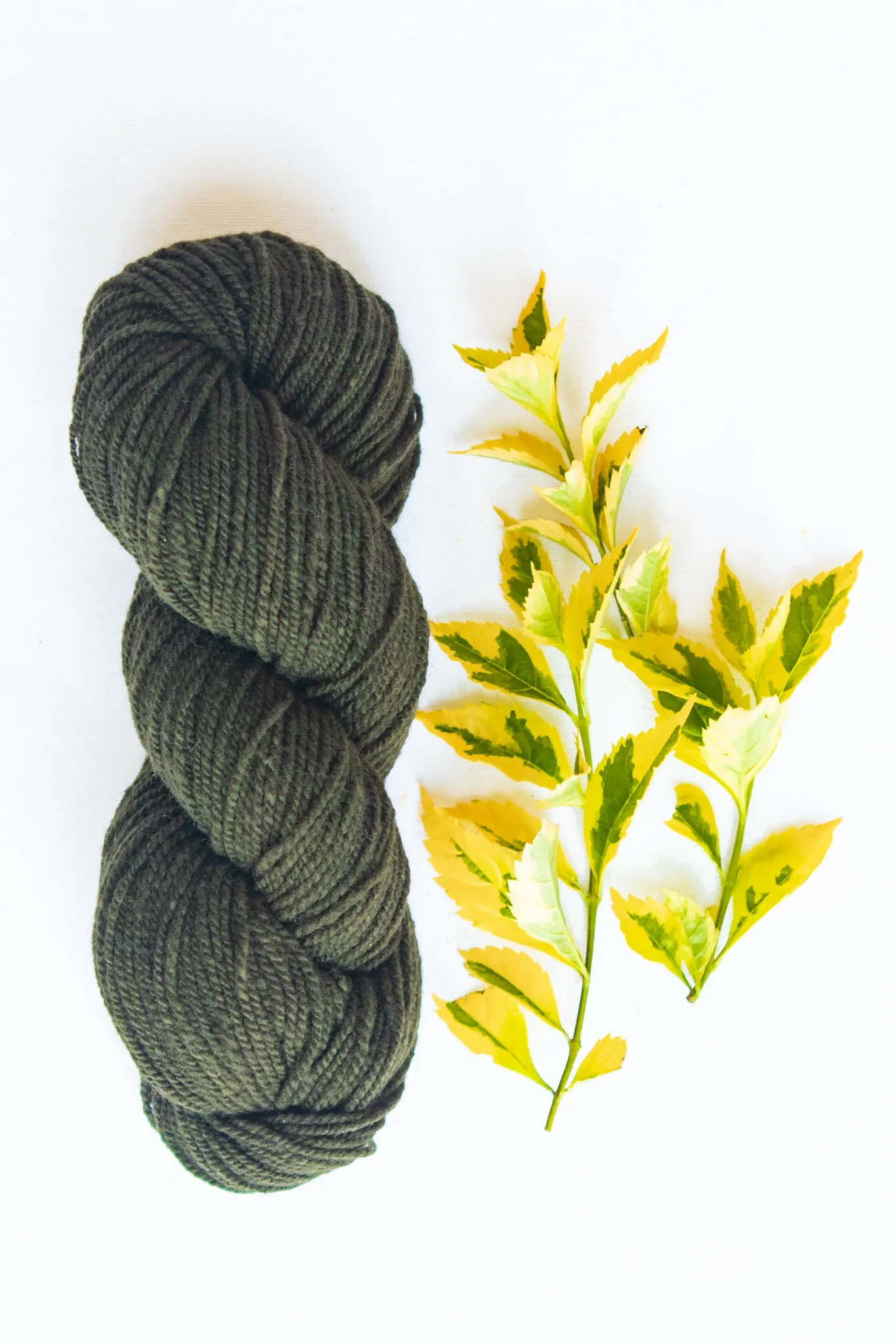 Organic Merino Wool Yarn, Rich Topiary