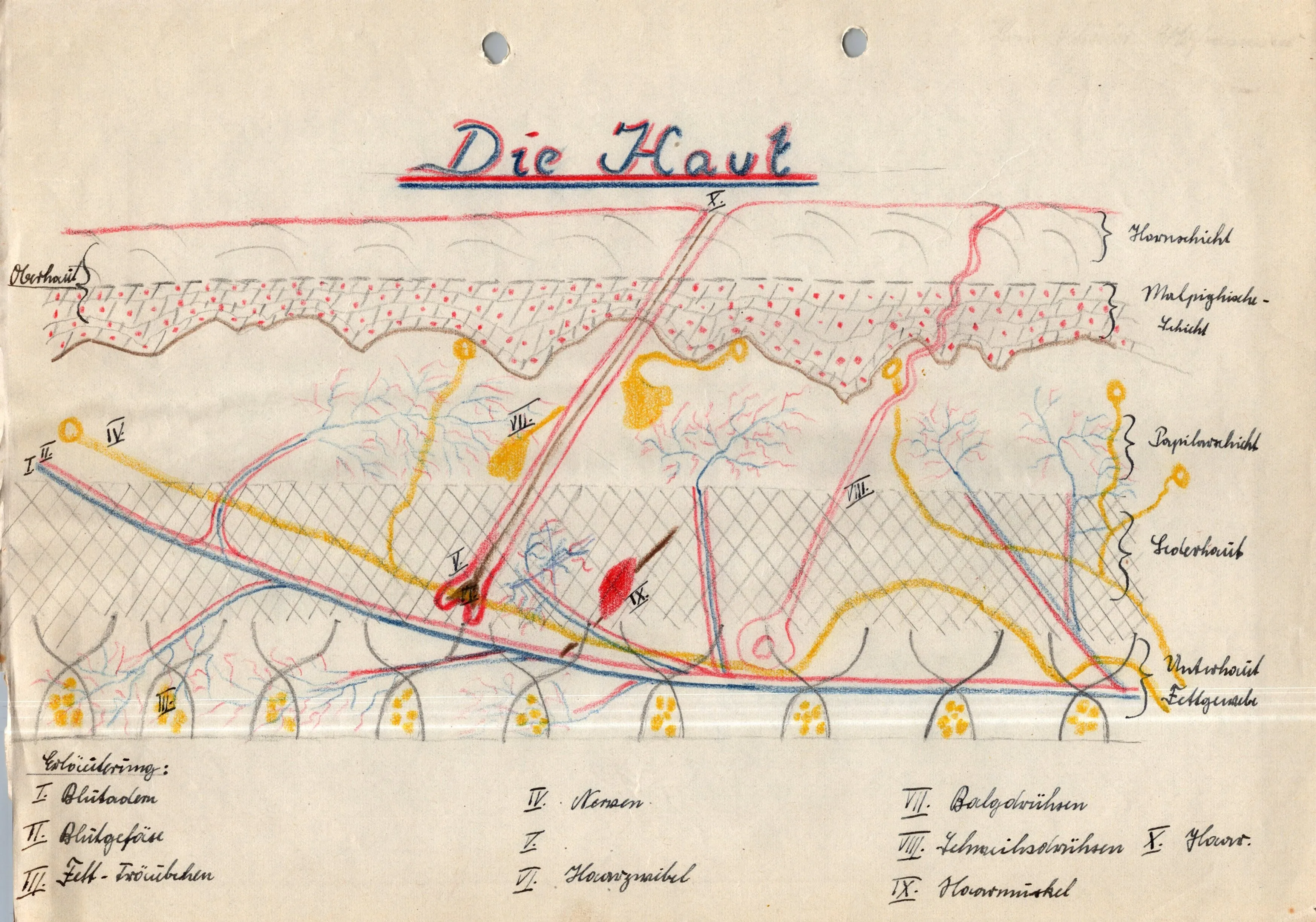 Original German WWII Massive Award & Document Grouping of Sanitäts-Feldwebel Friedrich Hofsommer of Panzerjäger - Abteilung 15